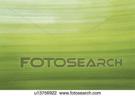 Blurred image of greenery View Large Photo Image Stock Image - Blurred image of greenery. Fotosearch