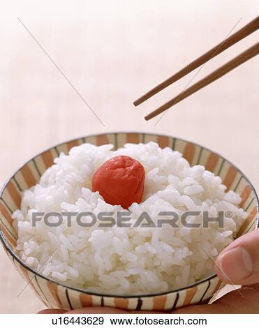 Boiled rice with pickled plum View Large Photo Image Stock Photo - Boiled rice with pickled plum. Fotosearch