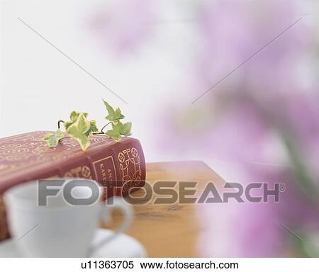 Stock Photography - Book and a teacup. Fotosearch