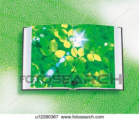 Stock Photo - Book with leaves on pages. Fotosearch