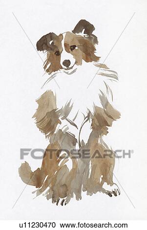 Border Collie, Water Color Painting View Large Photo Image Stock Image - Border Collie, Water Color Painting. Fotosearch