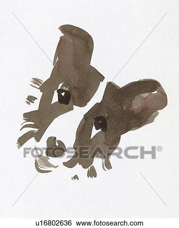 Border Collie, Water Color Painting View Large Photo Image Stock Photograph - Border Collie, Water Color Painting. Fotosearch