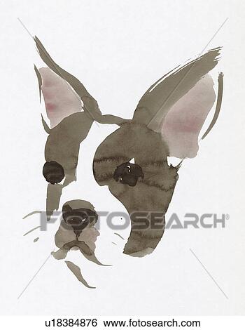 Boston Terrier, Water Color Painting View Large Photo Image Stock Photograph - Boston Terrier, Water Color Painting. Fotosearch