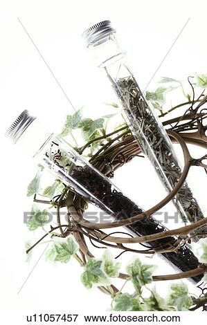 Stock Photo - Bottled herbs wrapped with ivy. Fotosearch