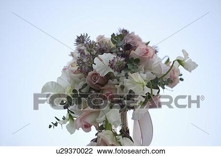 Stock Image - Bouquet of flowers tied with a ribbon. Fotosearch