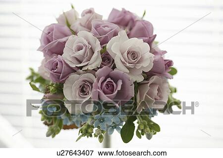 Stock Photo - Bouquet of purple roses. Fotosearch