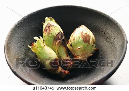 Stock Photography - Bowl of grilled butterburs, white background. Fotosearch
