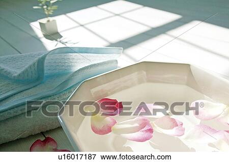 Stock Photo - Bowl with water and flower petals. Fotosearch