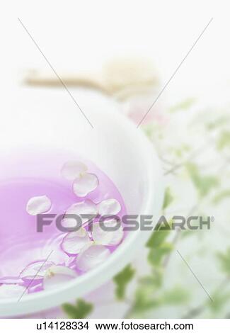 Picture - Bowl with water and rose petals, close up. Fotosearch
