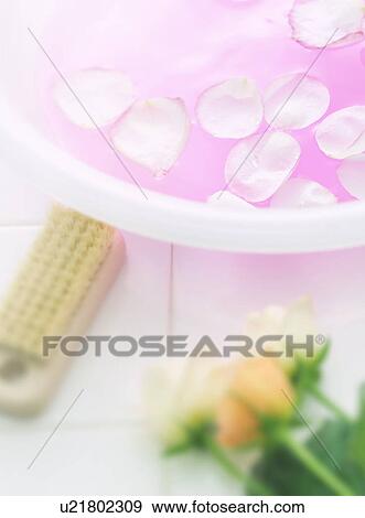 Stock Photo - Bowl with water and rose petals, close up. Fotosearch