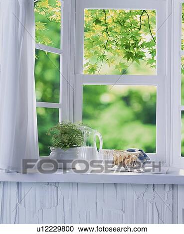 Bread and milk with plant on window sill View Large Photo Image Stock Image - Bread and milk with plant on window sill. Fotosearch