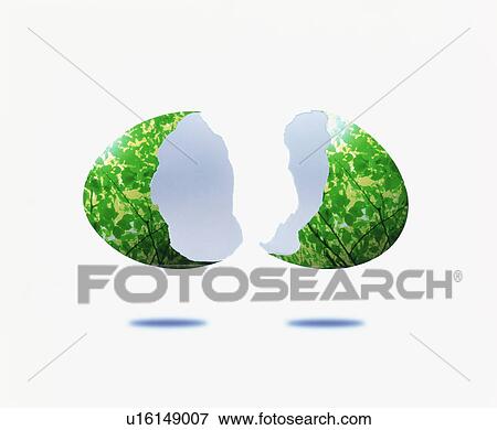 Broken Egg with Foliate Pattern View Large Photo Image Stock Photo - Broken Egg with Foliate Pattern. Fotosearch