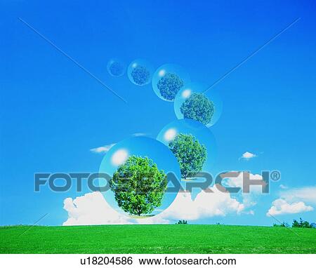 Stock Photograph - Bubbles containing trees floating over a green field. Fotosearch