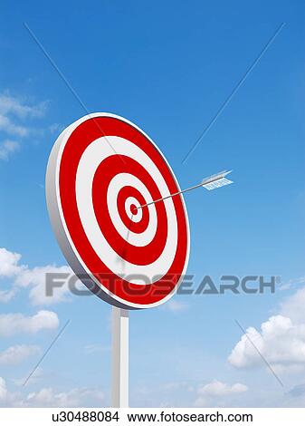 Picture - Bull's eye with sky in the background. Fotosearch