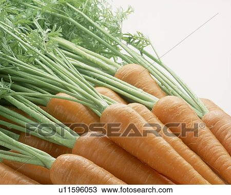Bunch of carrots, close up, white background View Large Photo Image Stock Image - Bunch of carrots, close up, white background. Fotosearch