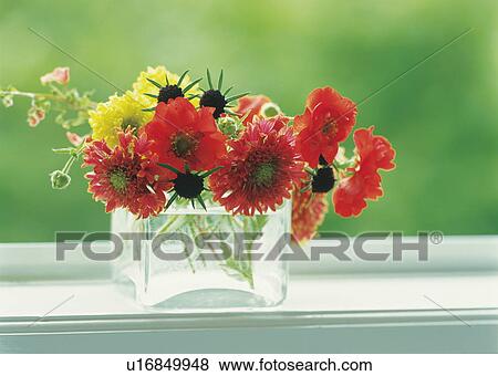 Stock Photo - Bunch of flowers on a windowsill. Fotosearch