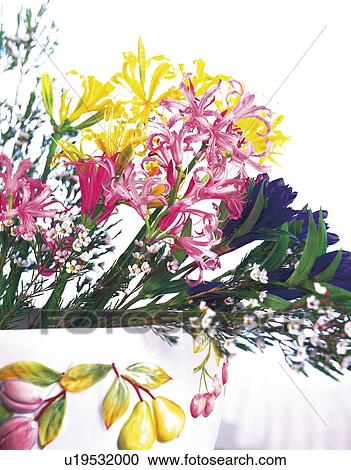 Stock Image - Bunch of nerine flowers. Fotosearch