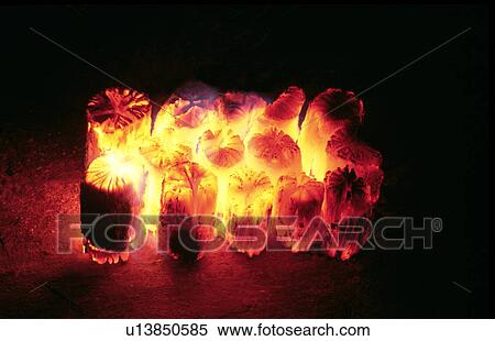 Burning charcoal View Large Photo Image Stock Photography - Burning charcoal . Fotosearch