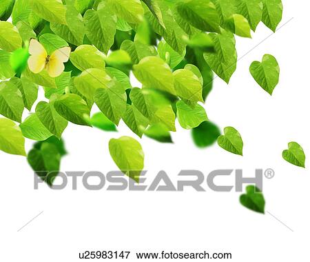 Stock Photo - Butterfly over a large group of leaves. Fotosearch