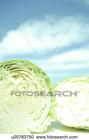 Stock Image - Cabbage and Blue Sky. Fotosearch