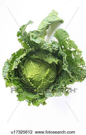 Stock Image - Cabbage. Fotosearch