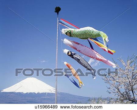 Stock Photo - Carp streamers and Mt. Fuji, Shizuoka prefecture, Japan. Fotosearch