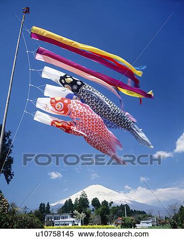 Stock Photography - Carp streamers and Mt. Fuji, Shizuoka prefecture, Japan. Fotosearch