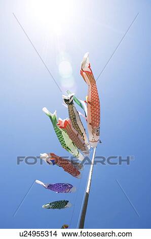 Picture - Carp Streamers Blowing in the Wind. Kasama, Ibaraki Prefecture, Japan. Fotosearch