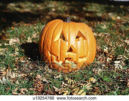 Stock Photo - Carved pumpkin, Jack O' Lantern, Iowa, USA. Fotosearch