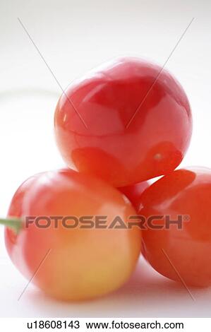 Cherry View Large Photo Image Stock Image - Cherry . Fotosearch