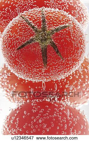 Stock Photo - Cherry Tomato. Fotosearch