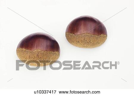 Stock Photo - Chestnuts. Fotosearch