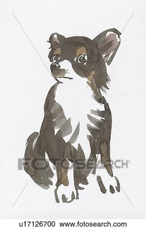 Chihuahua, Water Color Painting View Large Photo Image Stock Image - Chihuahua, Water Color Painting. Fotosearch