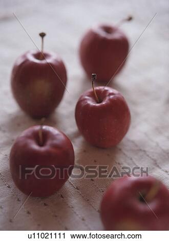Stock Image - Chinese crab apples. Fotosearch