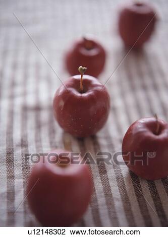 Chinese crab apples View Large Photo Image Stock Image - Chinese crab apples. Fotosearch