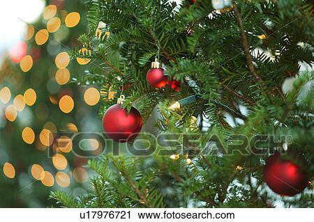Stock Image - Christmas baubles on Christmas tree, close up. Fotosearch