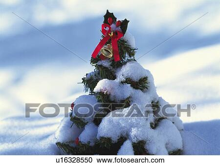 Stock Image - Christmas tree with snow, close up. Fotosearch