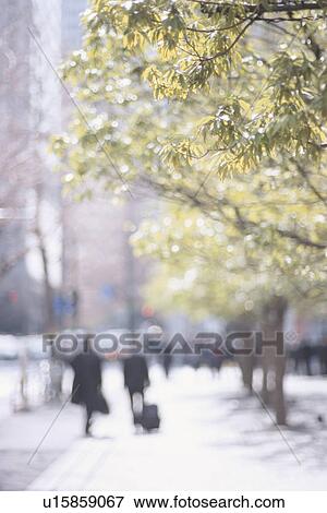 City Image of Trees Along a Sidewalk. Chiyoda-ku, Tokyo, Japan View Large Photo Image Stock Photo - City Image of Trees Along a Sidewalk. Chiyoda-ku, Tokyo, Japan. Fotosearch