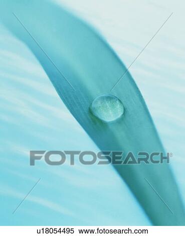 Stock Photography - Close-up of a waterdrop. Fotosearch