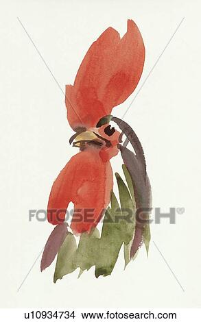 Picture - Cock, Water Color Painting. Fotosearch