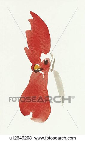 Cock, Water Color Painting View Large Photo Image Stock Photo - Cock, Water Color Painting. Fotosearch