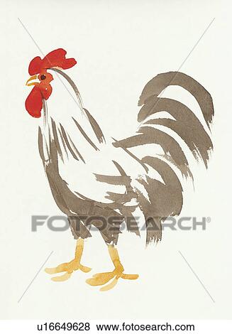 Cock, Water Color Painting View Large Photo Image Stock Photo - Cock, Water Color Painting. Fotosearch