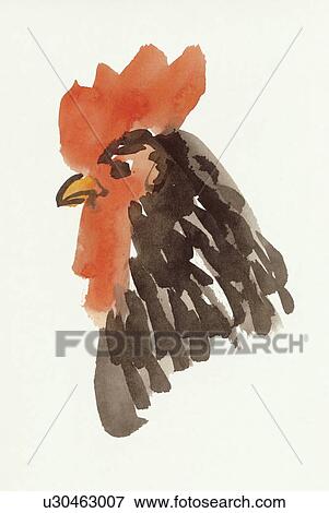 Stock Photo - Cock, Water Color Painting. Fotosearch