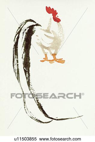 Stock Photography - Cock, Water Color Painting. Fotosearch