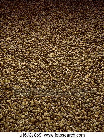 Coffee beans, full frame View Large Photo Image Stock Photo - Coffee beans, full frame. Fotosearch