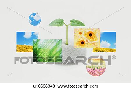 Stock Photo - Composite image depicting the environment and nature. Fotosearch