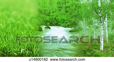 Stock Image - Composite image of green nature. Fotosearch