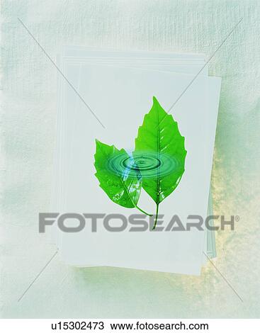 Composite of paper, water ripple and leaves View Large Photo Image Stock Image - Composite of paper, water ripple and leaves. Fotosearch