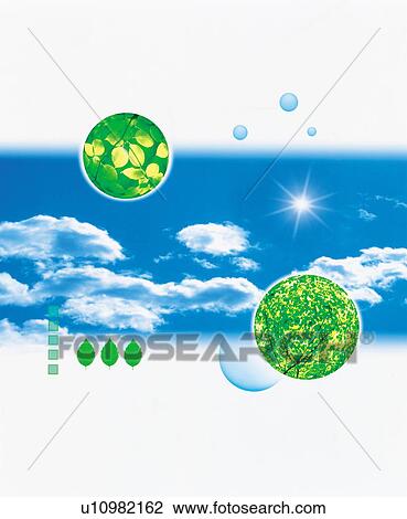 Stock Image - Composite of sky and trees. Fotosearch