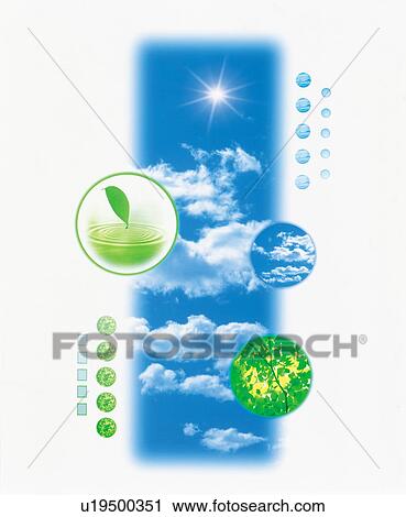 Composite of sky, leaf and trees View Large Photo Image Stock Image - Composite of sky, leaf and trees. Fotosearch